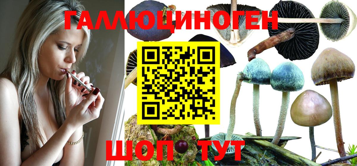 Галлюциногенные грибы Magic Shrooms  Вход с VPN  Псков 