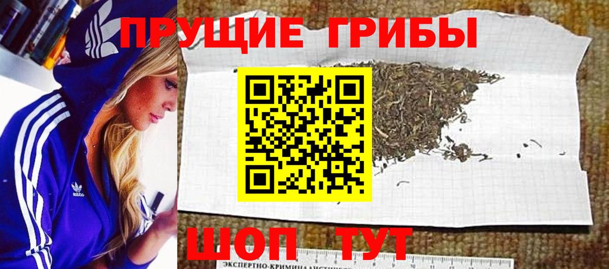 Псилоцибиновые грибы GOLDEN TEACHER Псков
